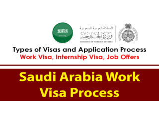 Saudi Arabia Work Visa Process 2024: Types of Visas and Application Guide